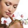 Uthai Massage in Willich